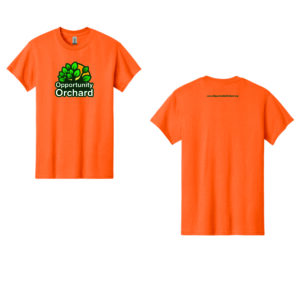 Orchard T-Shirt in Tangerine